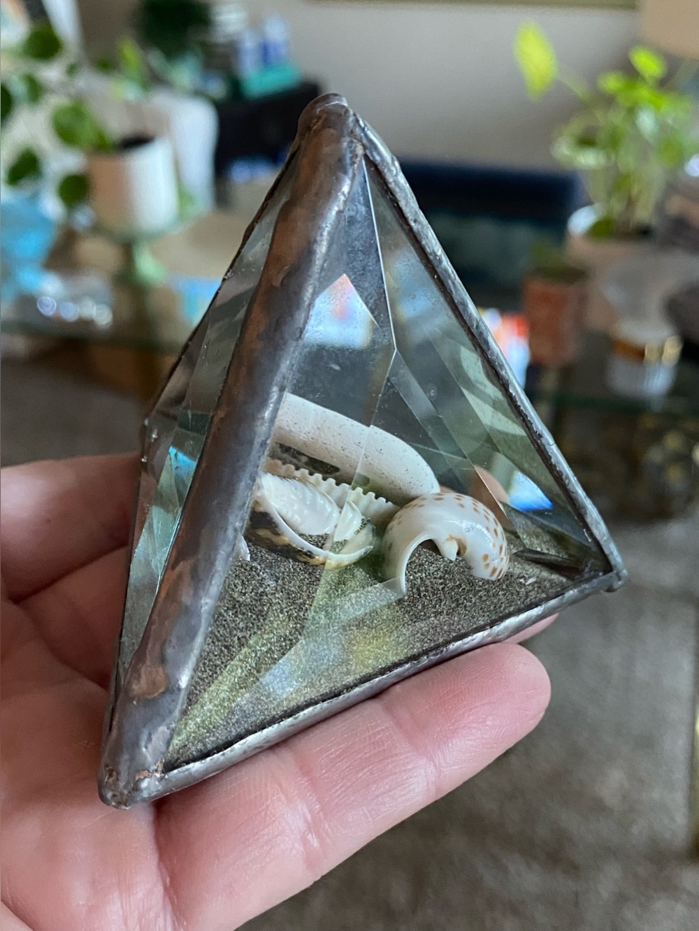VTG Beveled Glass Pyramid Paperweight Shell Sand Dollar Sandscape 3”